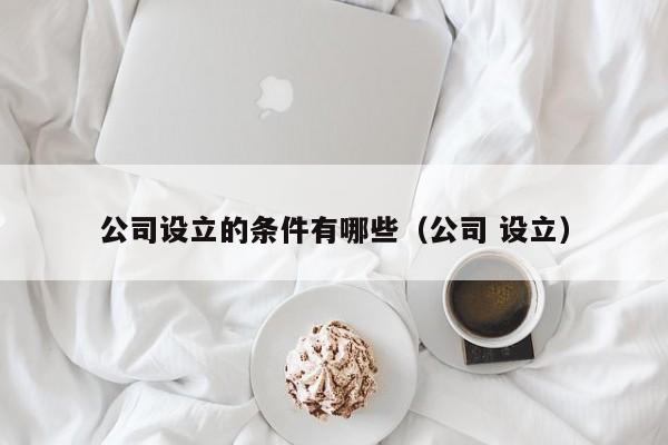 公司设立的条件有哪些（公司 设立）